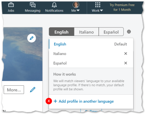 Pantalla de añadir idioma en LinkedIn