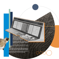 collage umanizzare ia