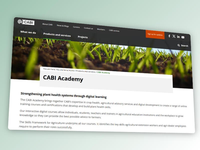Home screen of cabi.org