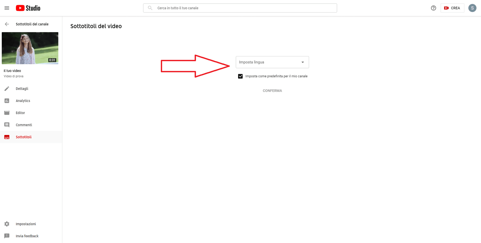 Screenshot of YouTube, Subtitles