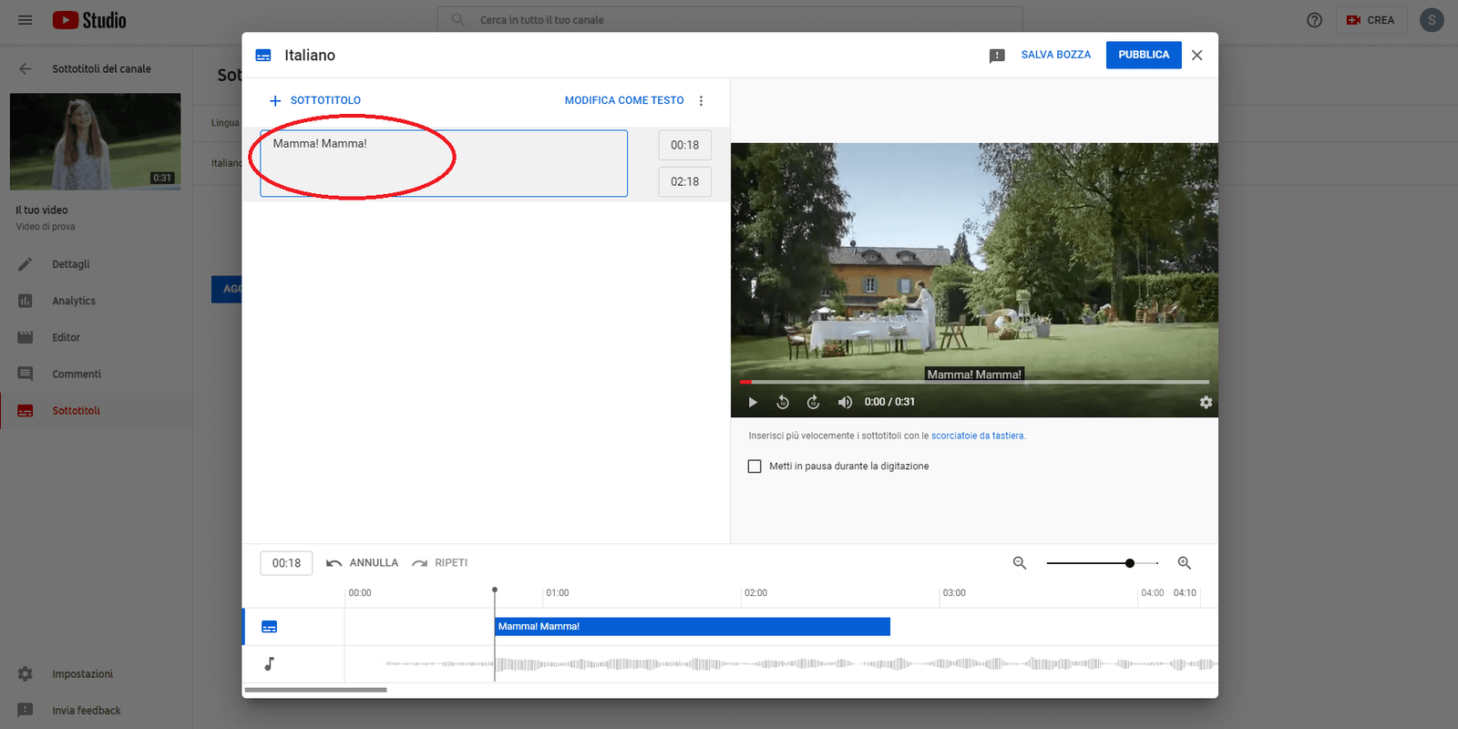 Screenshot of YouTube, inserting subtitles